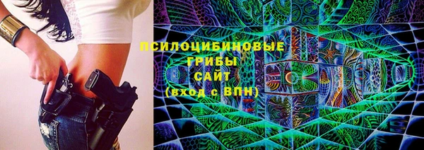 индика Аркадак