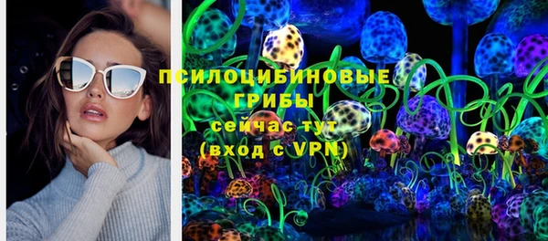 индика Аркадак