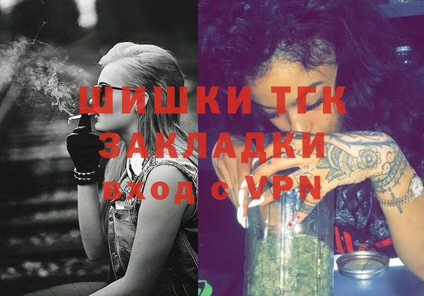 индика Аркадак