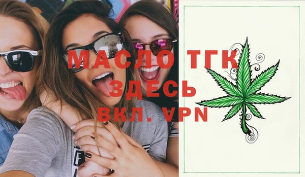 индика Аркадак