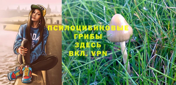 индика Аркадак