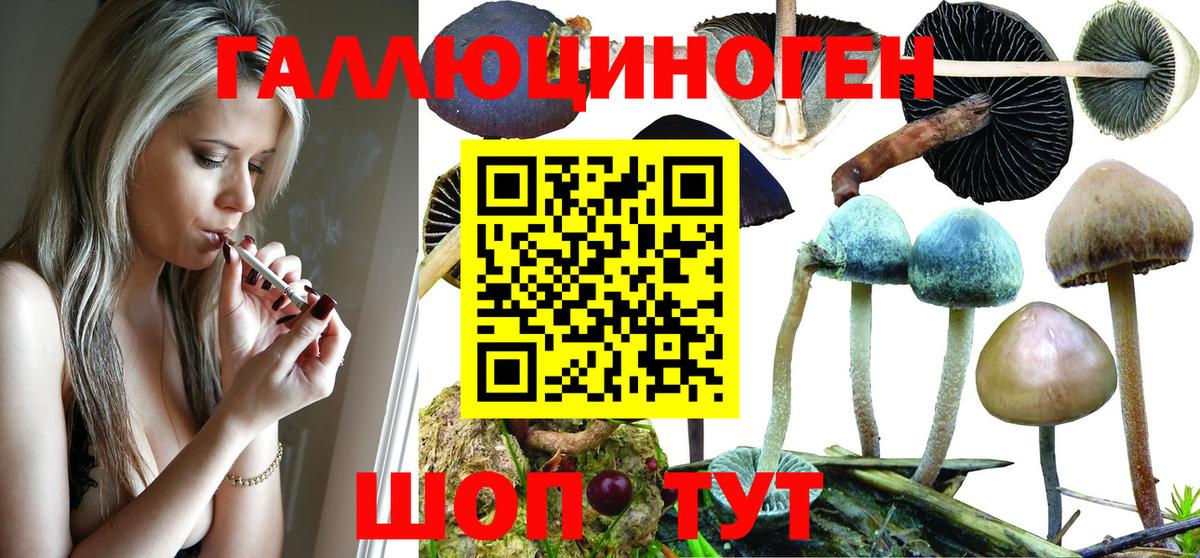 наркота  Вход с VPN  Курган  Галлюциногенные грибы MAGIC MUSHROOMS 